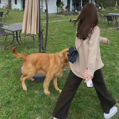 谋杀大小姐