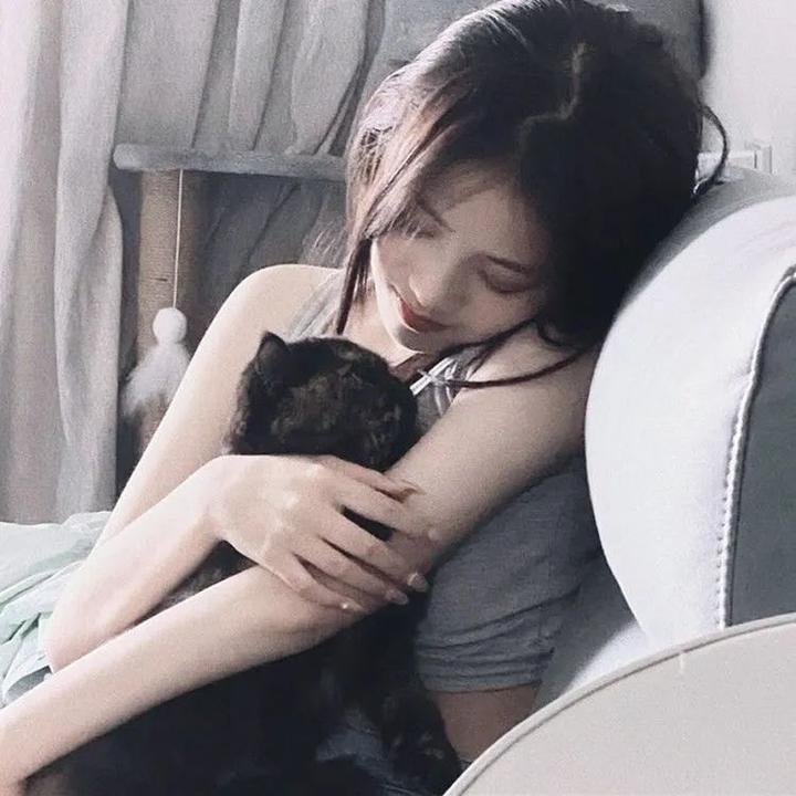 代号九耳犬